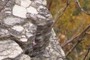 Strong inheritance of polygonal geometry