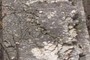 Mudcracks galore!