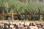 Cemetery
