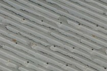 244882-210x140