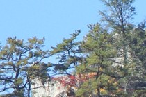 244984-210x140