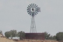 245014-210x140