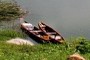 Fishing Boats