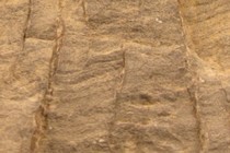 245287-210x140