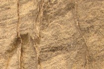245294-210x140