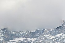 245855-210x140