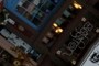Black Cat Books