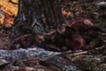 245863-210x140