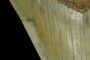 Smooth edge