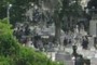 Crowded