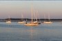 Sailboats