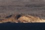 Steamboat Point