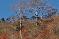 246195-210x140