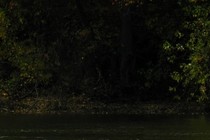 246271-210x140