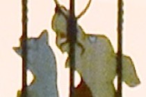 246510-210x140