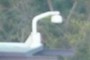 Surveillance Camera, Caught on Camera
