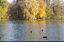 englisher garten