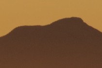 247014-210x140