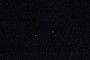 Canis Minor?