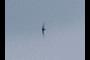 Bird, not kite
