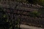 Train track