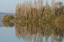 reflections
