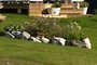 Flower beds