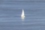 Sailboat