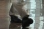 The Feet