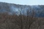 workers seem to be burning some of the trees that were cut