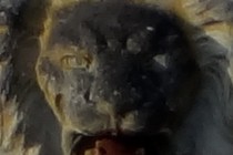247719-210x140