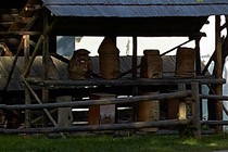 261731-210x140