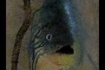 25873-210x140