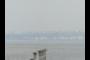 San Francisco Bay Bridge