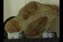 Trilobites