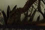 Carnivorous Dinosaur