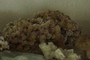Barite Roses