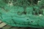 Botryoidal Malachite