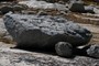 Glacial Erratics