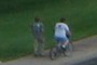 Two Pals walking - 2