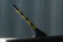 Bumblebee stinger