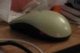 Eeeeek! There's a mouse in my room!