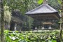 Temple patio?