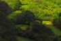 Koolau Golf Club