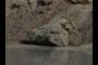 volcanic bouler