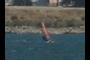 Windsurfer