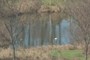 Pond 