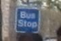 Bus Stop