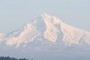 Mt. Hood
