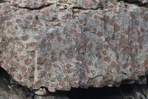 273860-210x140